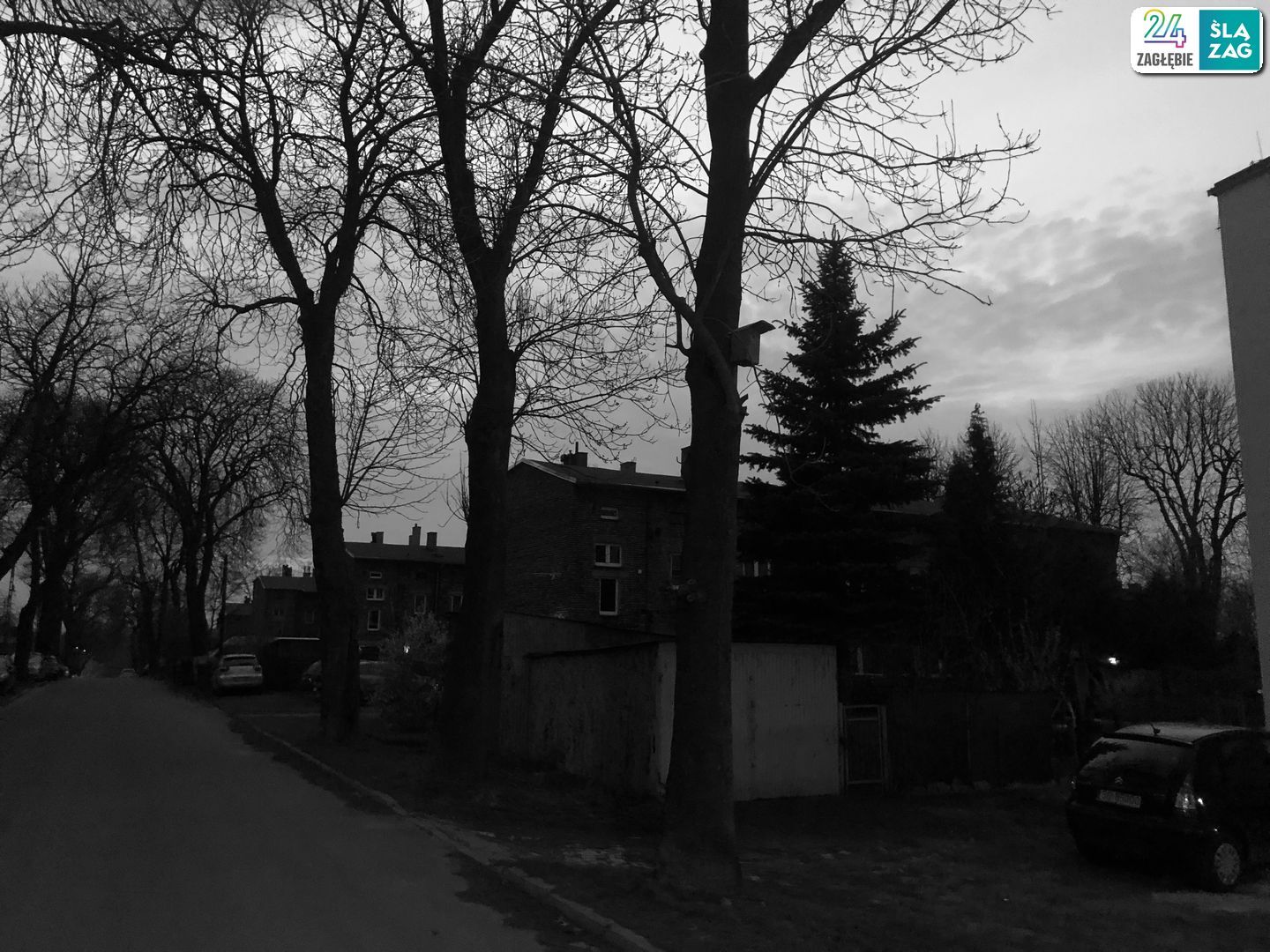 Sosnowiec. Porąbka-Pekin. 29 marca 2025.