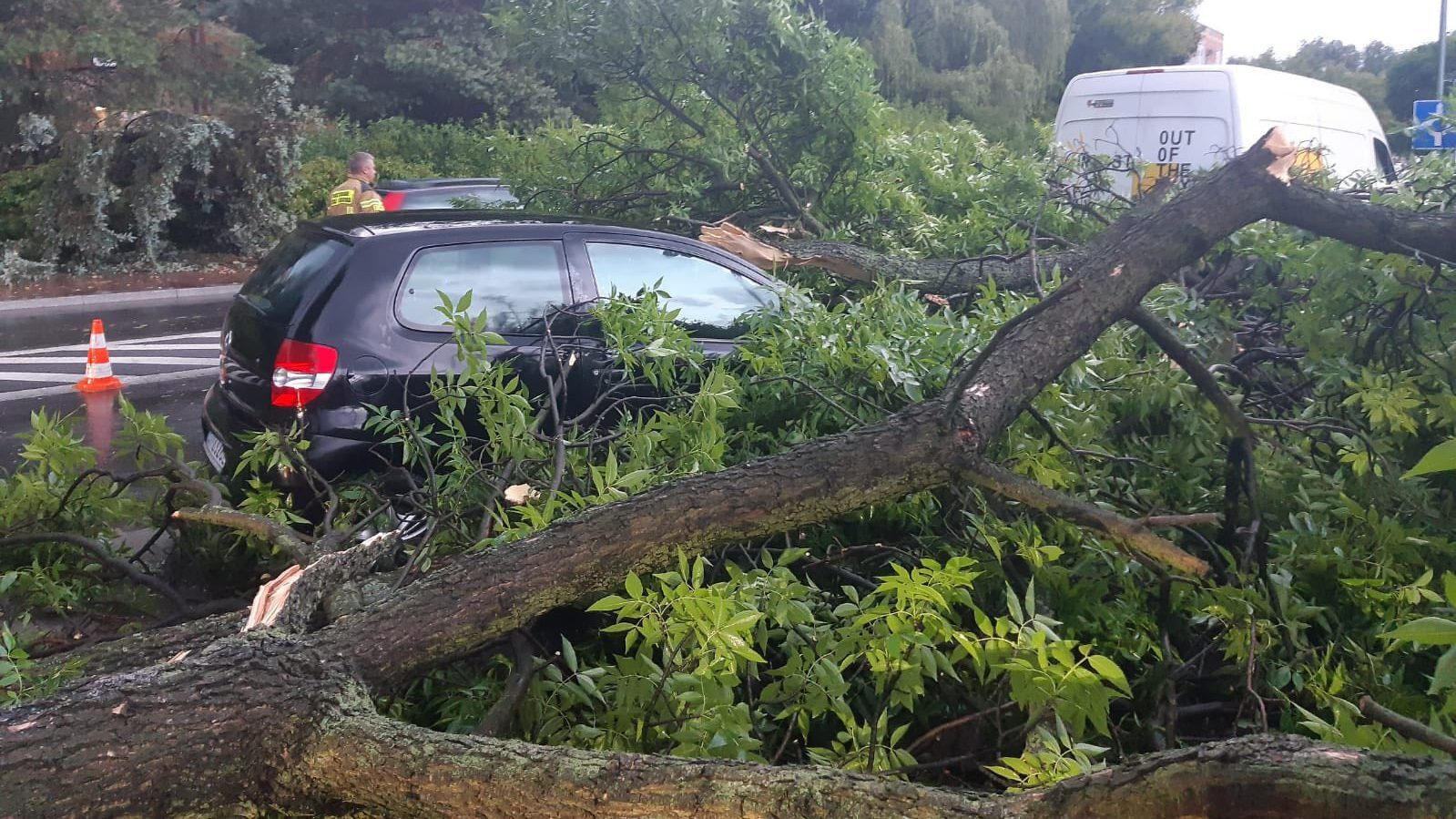 Sosnowiec-Pogoń. Drzewo przygniotło samochód na ulicy Stefana Roweckiego „Grota”. Grota. 23 czerwca 2025.