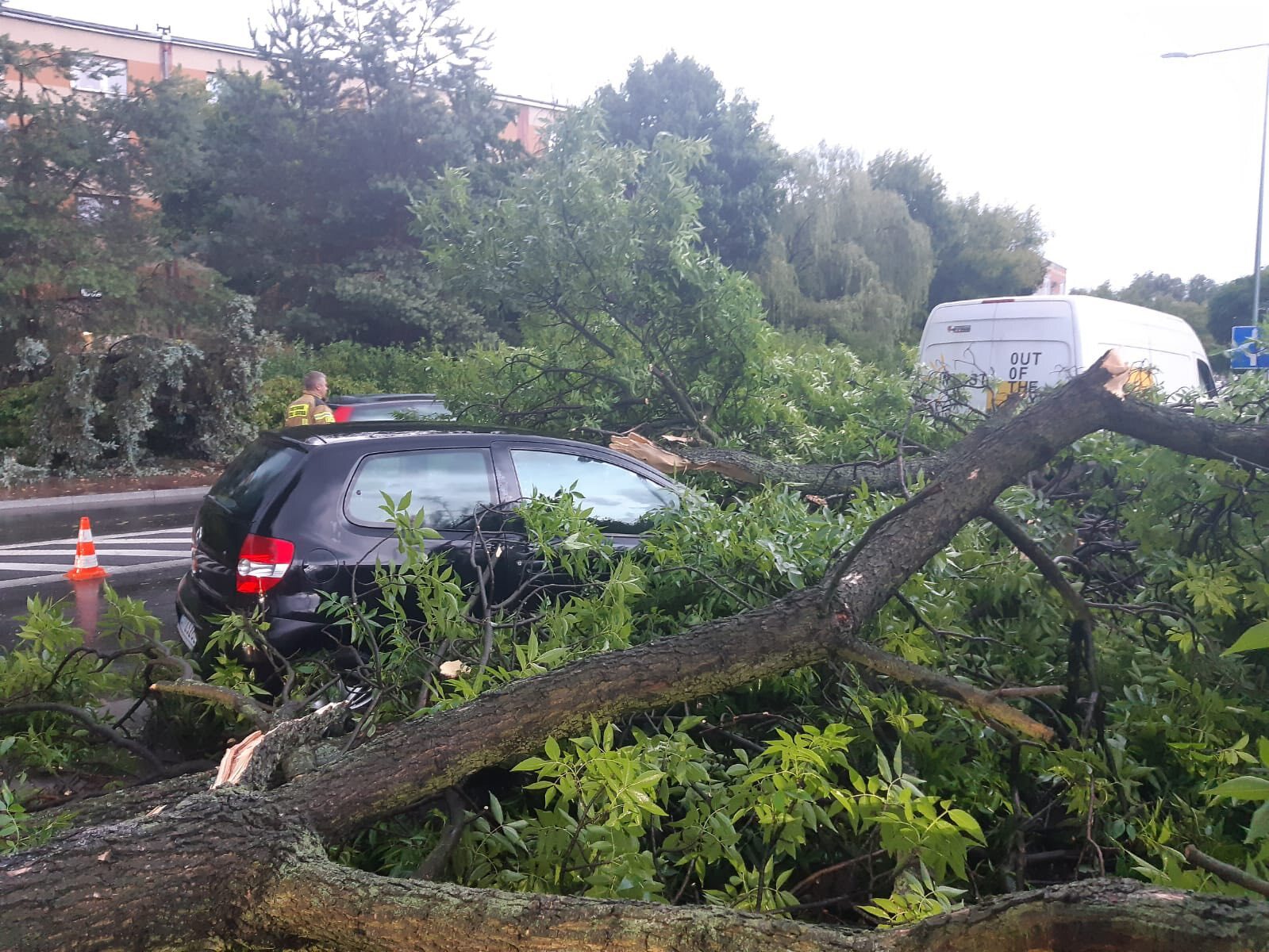 Sosnowiec-Pogoń. Drzewo przygniotło samochód na ulicy Stefana Roweckiego „Grota”. Grota. 23 czerwca 2025.