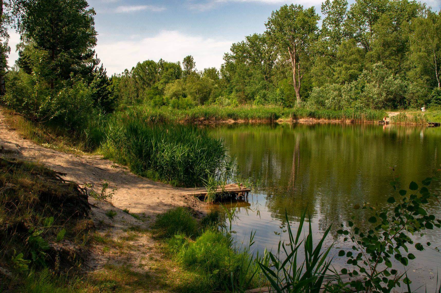 Sosnowiec. Staw „Rybaczówka”. 30 maja 2018.