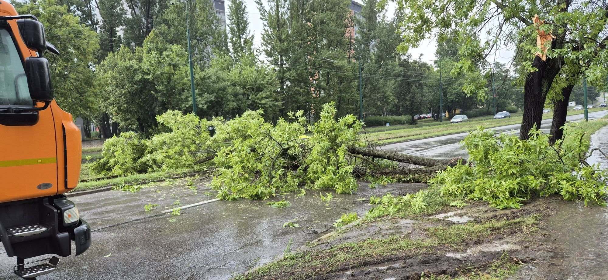 Sosnowiec-Sielec-Ul_Zamkowa-Nawalnice-Zlamane_Drzewo-Fot_Izabela_Szylejko-2026_07_14-01.jpg