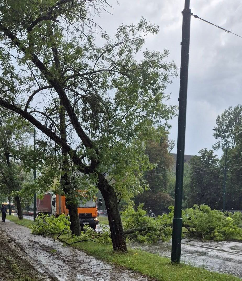 Sosnowiec-Sielec-Ul_Zamkowa-Nawalnice-Zlamane_Drzewo-Fot_Izabela_Szylejko-2026_07_14-01.jpg