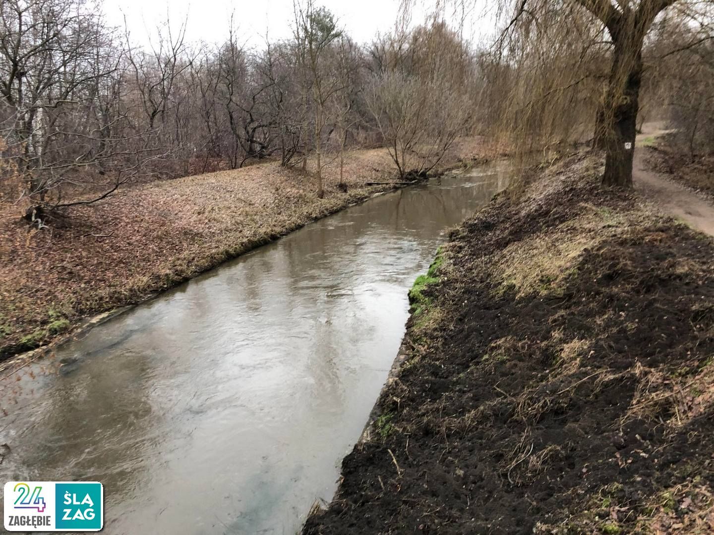 Sosnowiec-Stary Sosnowiec. Brynica. 14 grudnia 2024.