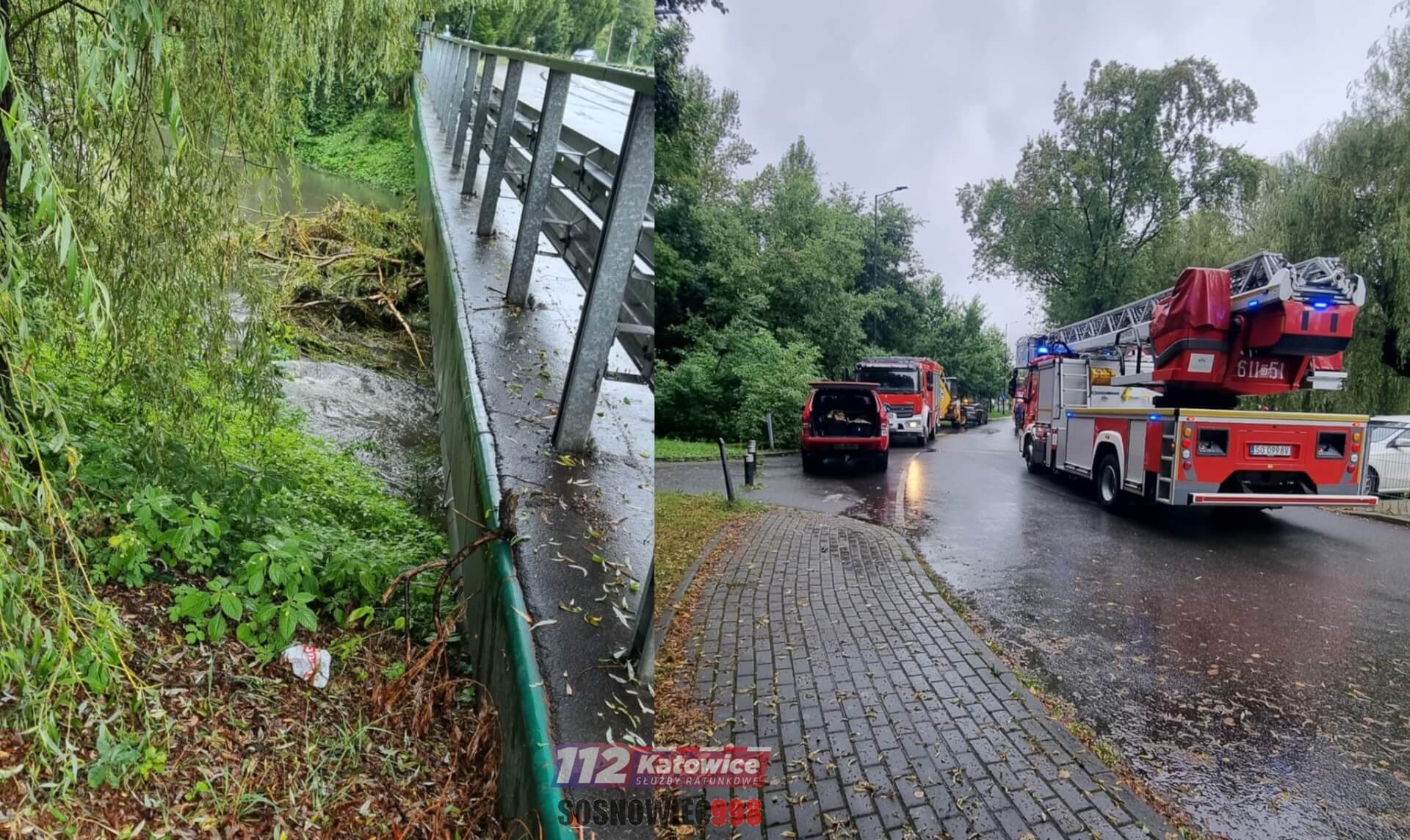 Sosnowiec. Usuwanie zalegających w korycie Brynicy drzew na ulicy Jana III Sobieskiego. 28 lipca 2025.