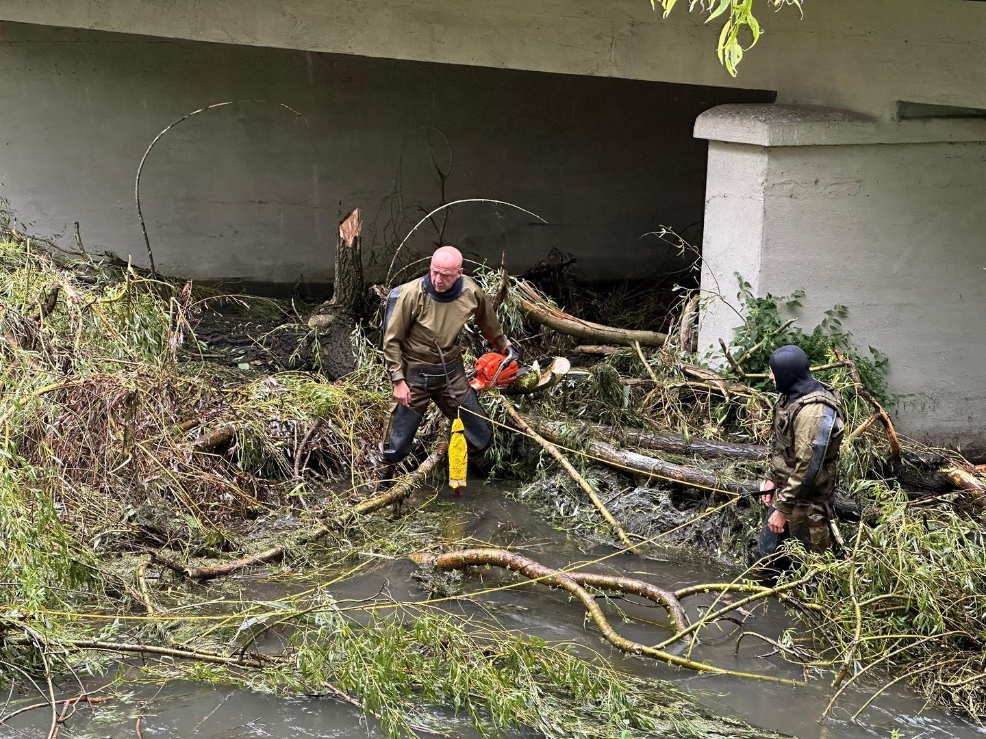 Sosnowiec. Usuwanie zalegających w korycie Brynicy drzew na ulicy Jana III Sobieskiego. 28 lipca 2025.