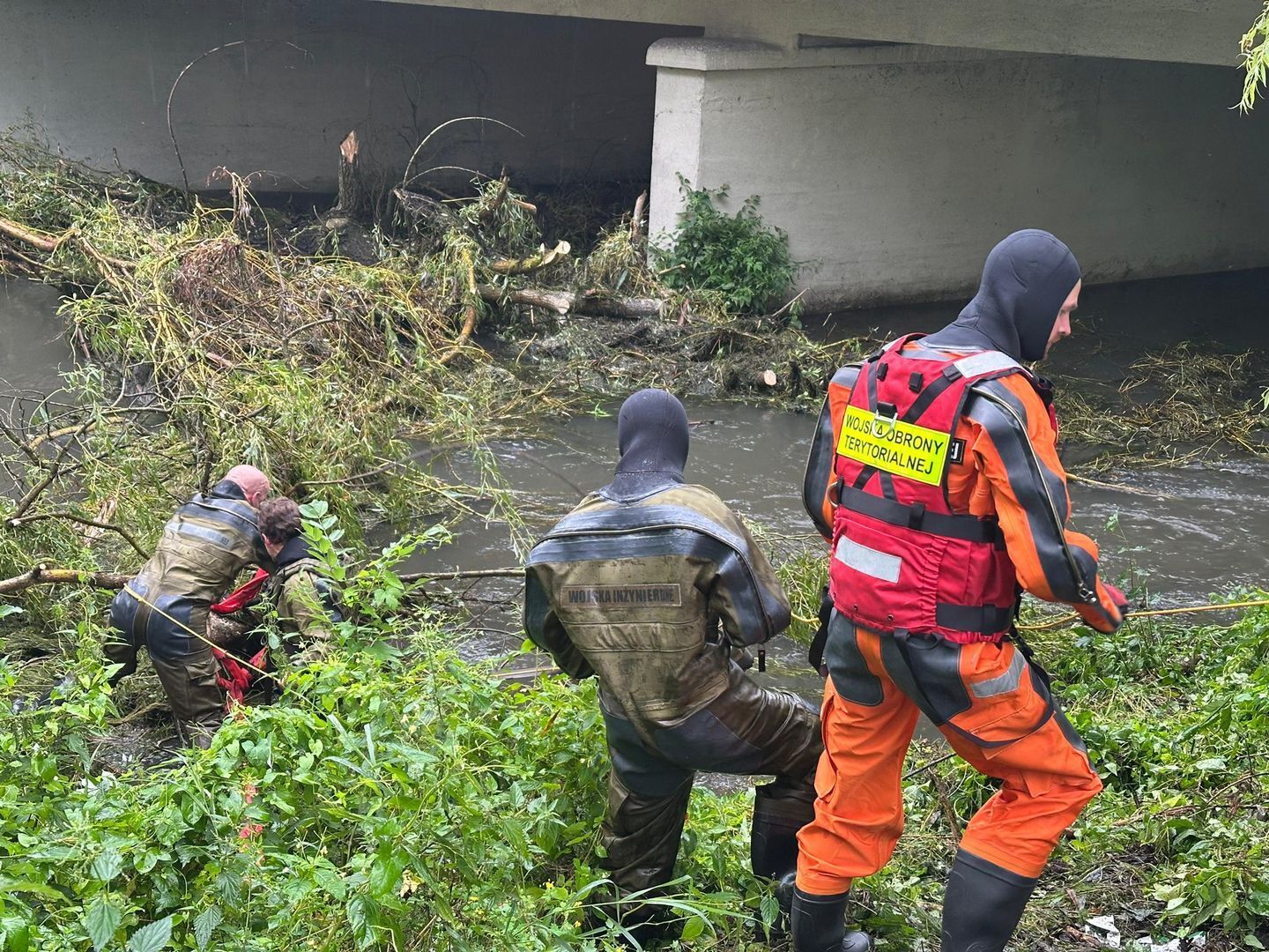 Sosnowiec. Usuwanie zalegających w korycie Brynicy drzew na ulicy Jana III Sobieskiego. 28 lipca 2025.