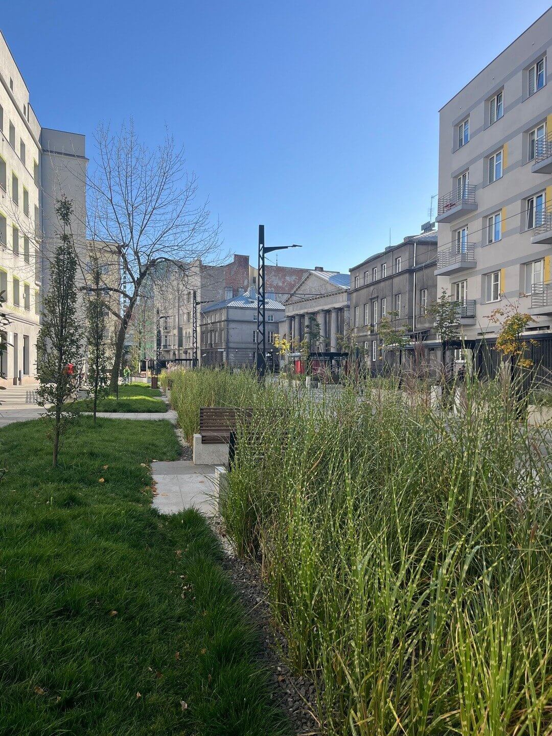 Ulica Stanisława Małachowskiego w Sosnowcu. Widok na zieleń.