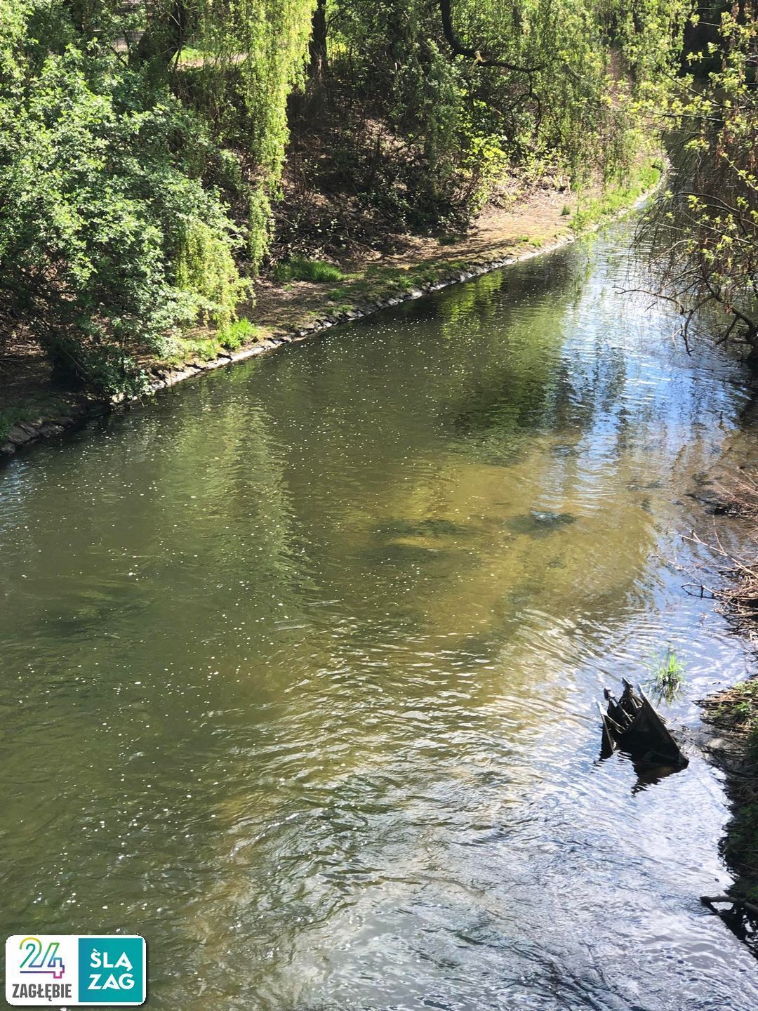 Sosnowiec. Czarna Przemsza przy ulicy Władysława Warneńczyka – nietypowy obiekt w wodzie (namiot, parawan?). 19 kwietnia 2025.