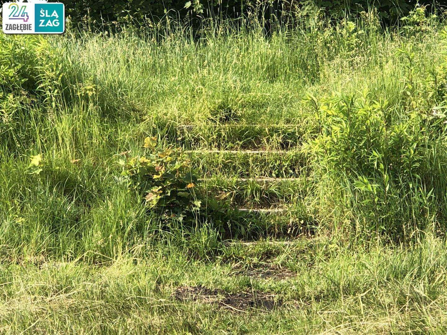 Sosnowiec. Dawne tereny K.S. „Polonia” Sosnowiec. Tu powstaje nowe osiedle. 11 czerwca 2025.