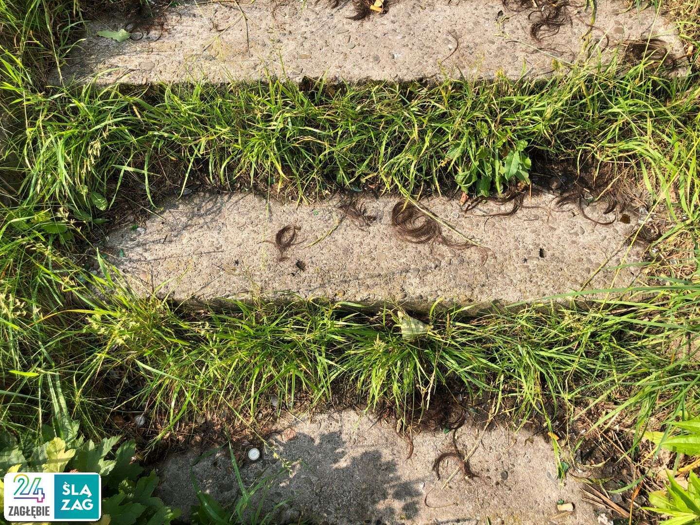 Sosnowiec. Dawne tereny K.S. „Polonia” Sosnowiec. Tu powstaje nowe osiedle. 11 czerwca 2025.