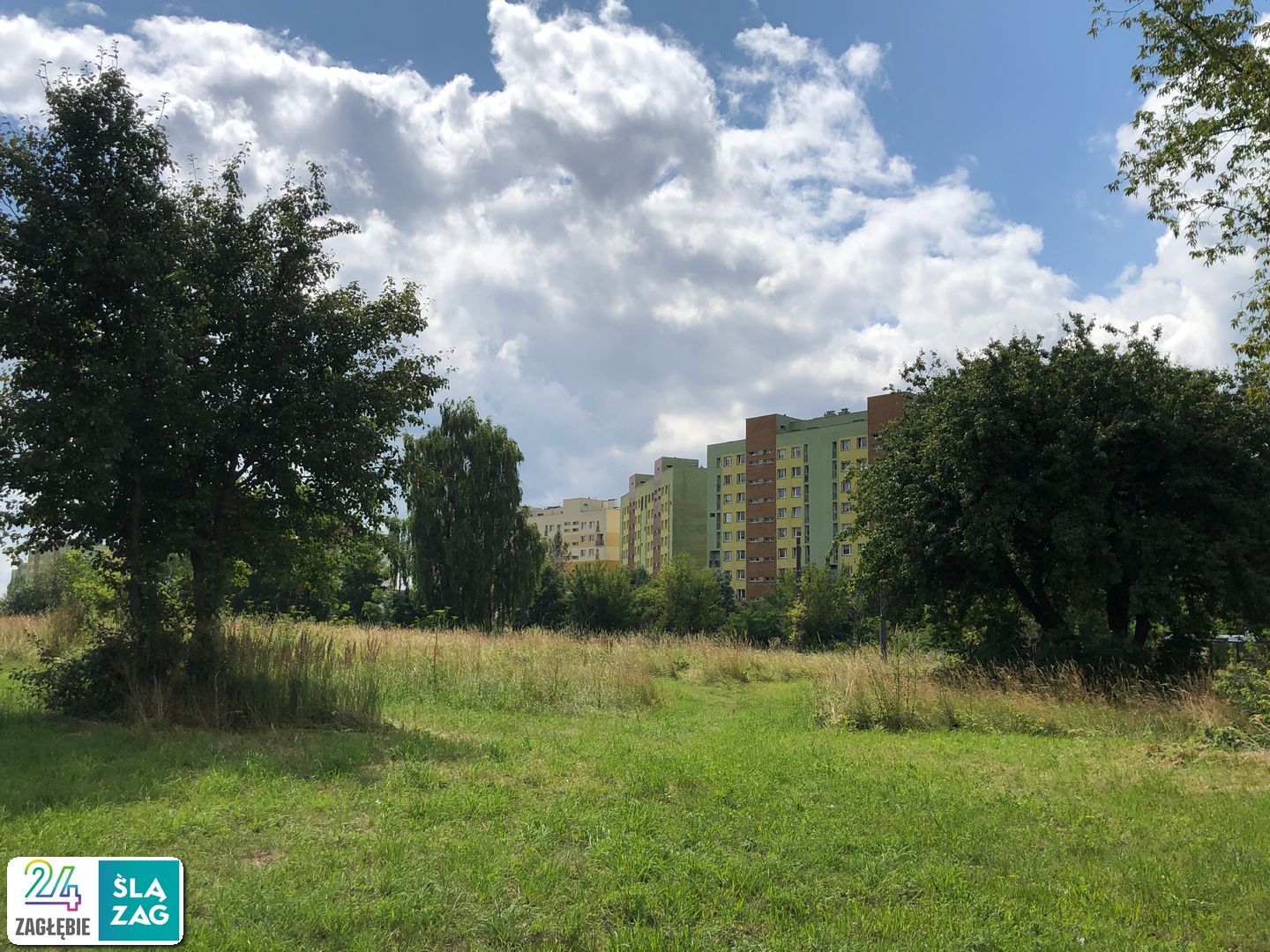 Sosnowiec-Zagórze. Nieużytki pomiędzy ulicami Teofila Lenartowicza i Białostocką. Tu będzie nowy park. 18 lipca 2025.
