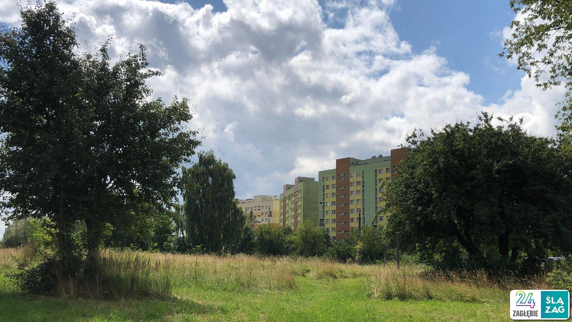 Sosnowiec-Zagórze. Nieużytki pomiędzy ulicami Teofila Lenartowicza i Białostocką. Tu będzie nowy park. 18 lipca 2025.