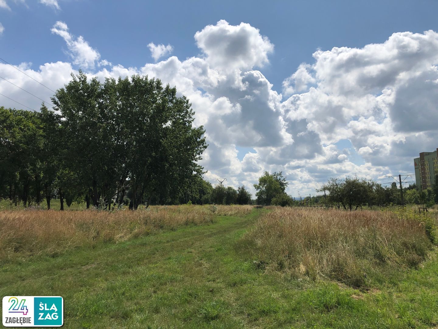 Sosnowiec-Zagórze. Nieużytki pomiędzy ulicami Teofila Lenartowicza i Białostocką. Tu będzie nowy park. 18 lipca 2025.