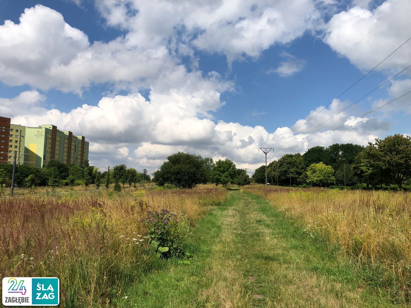 Sosnowiec-Zagórze. Nieużytki pomiędzy ulicami Teofila Lenartowicza i Białostocką. Tu będzie nowy park. 18 lipca 2025.