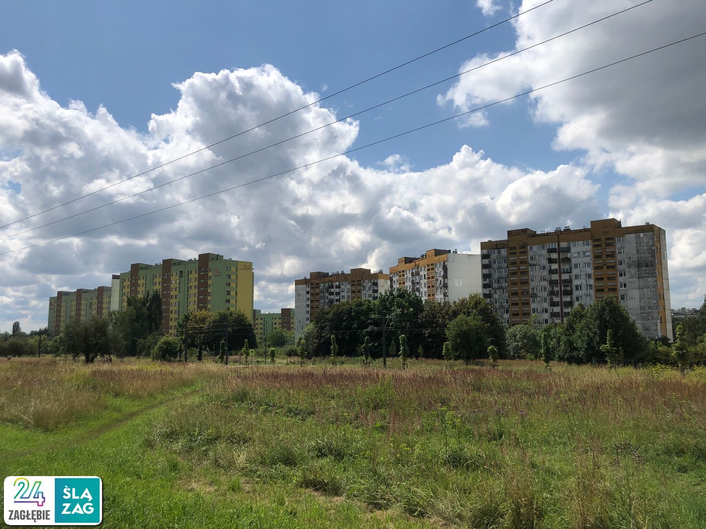 Sosnowiec-Zagórze. Nieużytki pomiędzy ulicami Teofila Lenartowicza i Białostocką. Tu będzie nowy park. 18 lipca 2025.