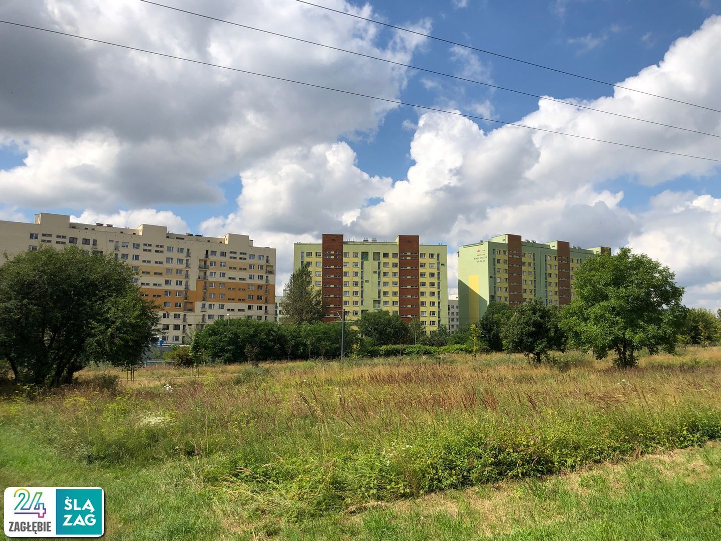Sosnowiec-Zagórze. Nieużytki pomiędzy ulicami Teofila Lenartowicza i Białostocką. Tu będzie nowy park. 18 lipca 2025.