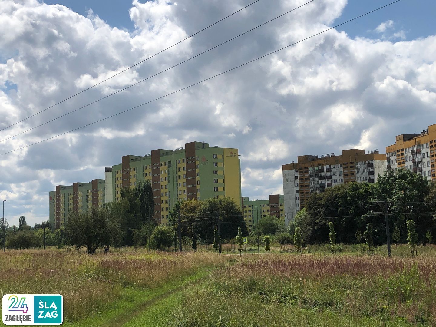 Sosnowiec-Zagórze. Nieużytki pomiędzy ulicami Teofila Lenartowicza i Białostocką. Tu będzie nowy park. 18 lipca 2025.