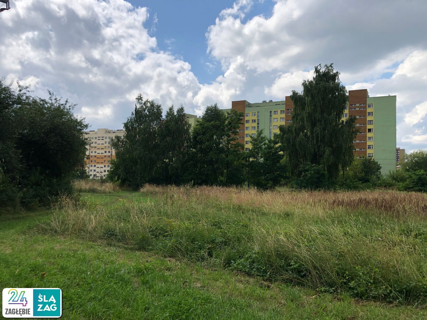 Sosnowiec-Zagórze. Nieużytki pomiędzy ulicami Teofila Lenartowicza i Białostocką. Tu będzie nowy park. 18 lipca 2025.