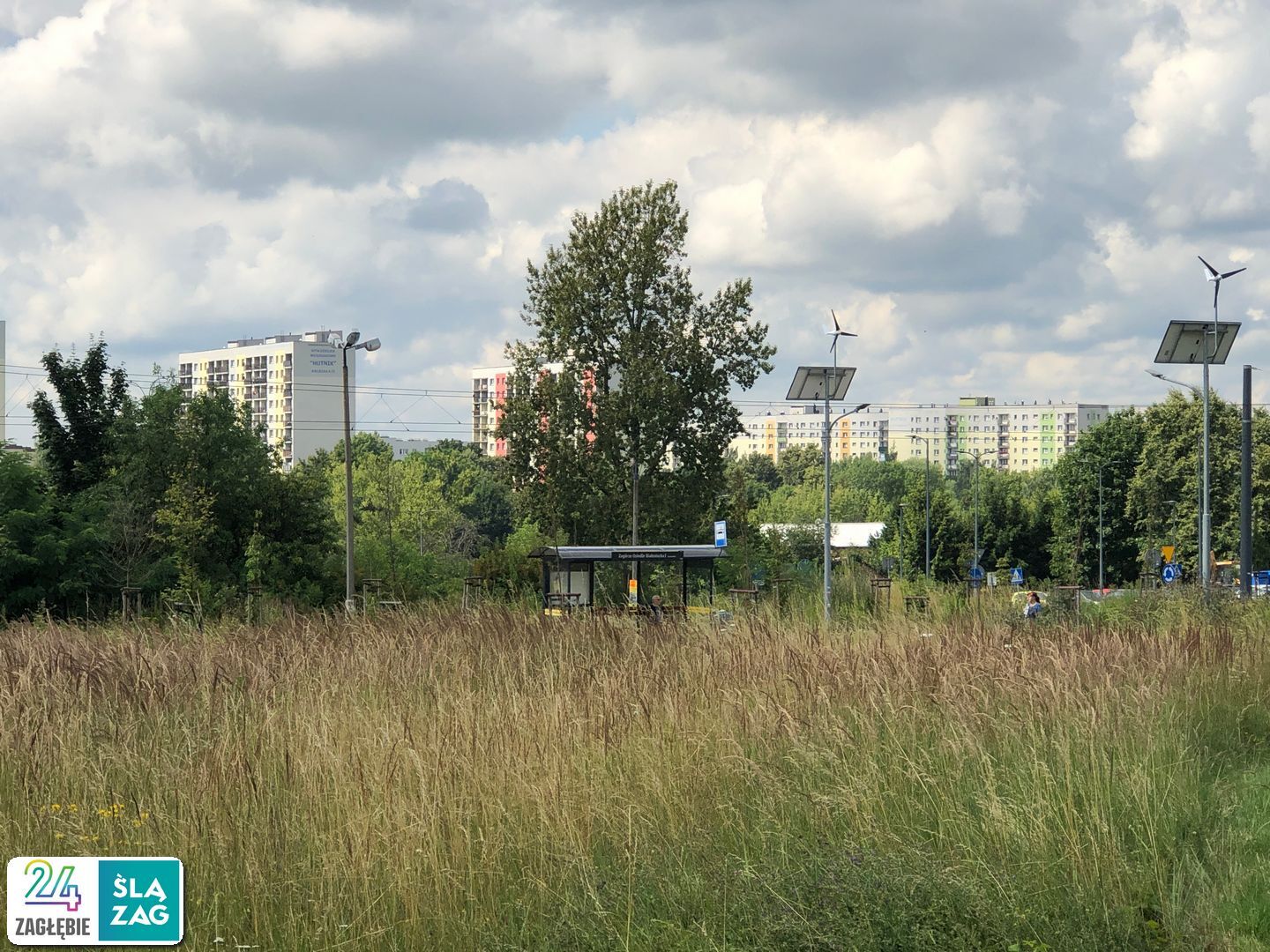 Sosnowiec-Zagórze. Nieużytki pomiędzy ulicami Teofila Lenartowicza i Białostocką. Tu będzie nowy park. 18 lipca 2025.