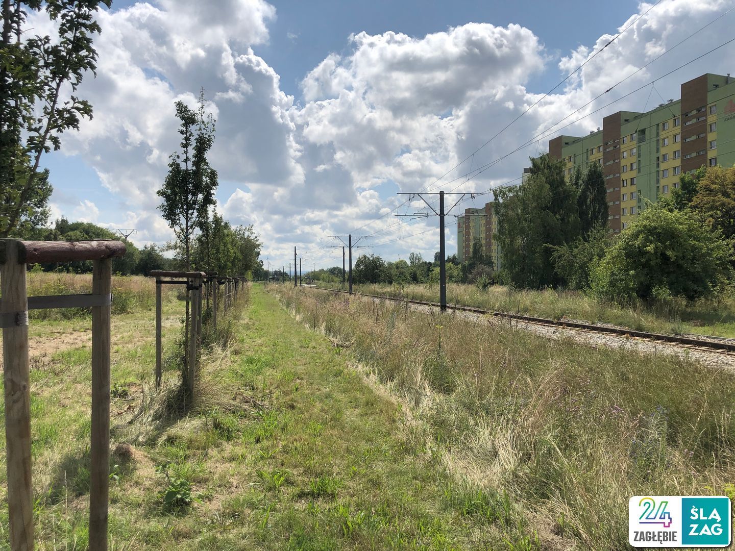 Sosnowiec-Zagórze. Nieużytki pomiędzy ulicami Teofila Lenartowicza i Białostocką. Tu będzie nowy park. 18 lipca 2025.