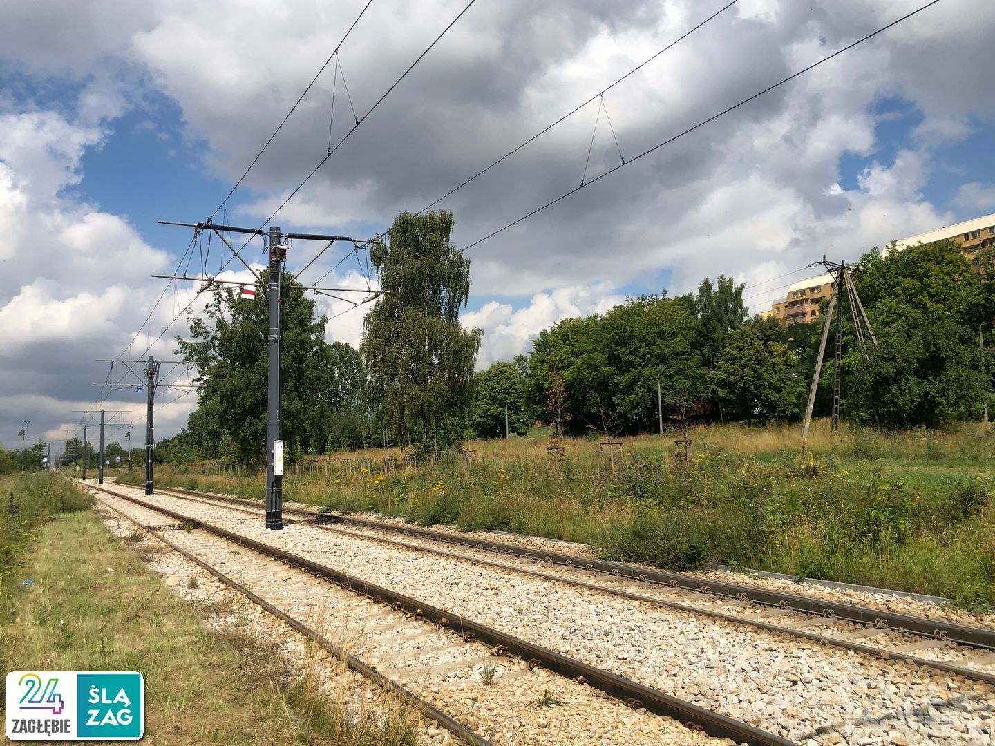 Sosnowiec-Zagórze. Nieużytki pomiędzy ulicami Teofila Lenartowicza i Białostocką. Tu będzie nowy park. 18 lipca 2025.