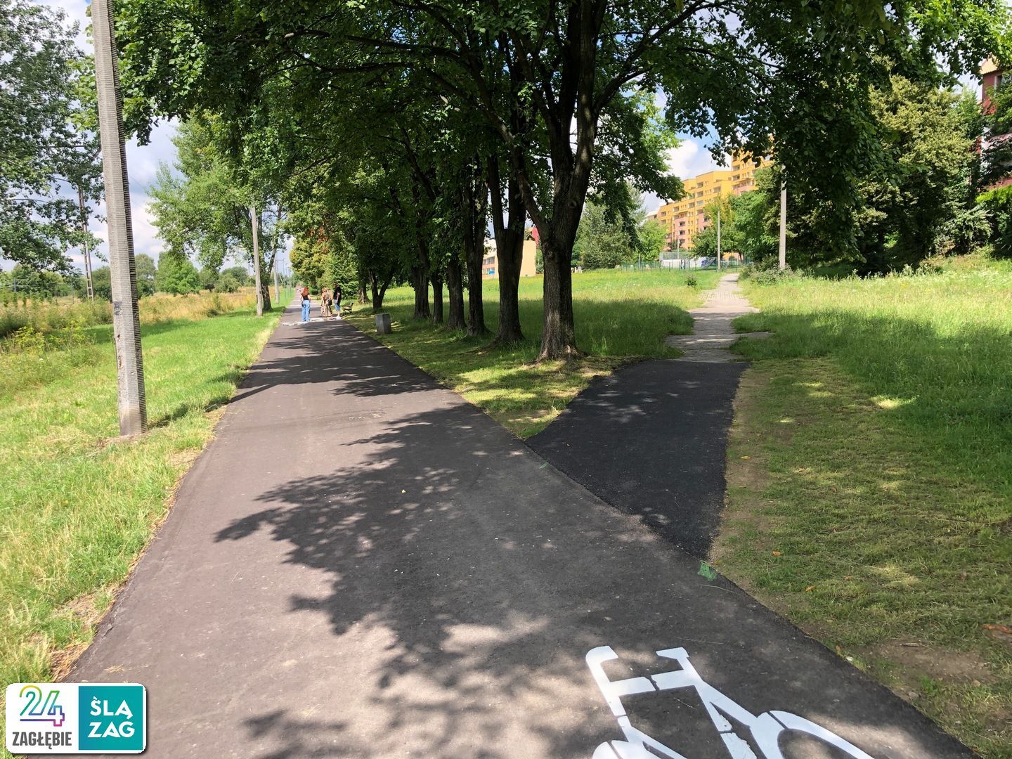Sosnowiec-Zagórze. Nieużytki pomiędzy ulicami Teofila Lenartowicza i Białostocką. Tu będzie nowy park. 18 lipca 2025.