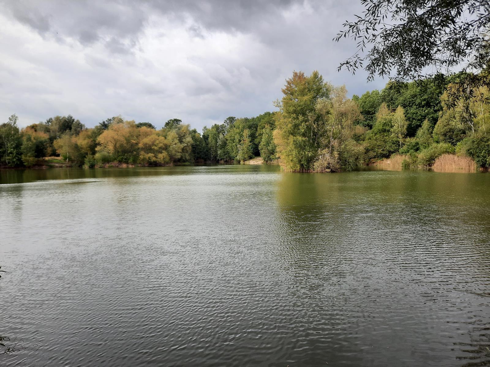 Staw Dupina Katowice Podlesie 1 Copy