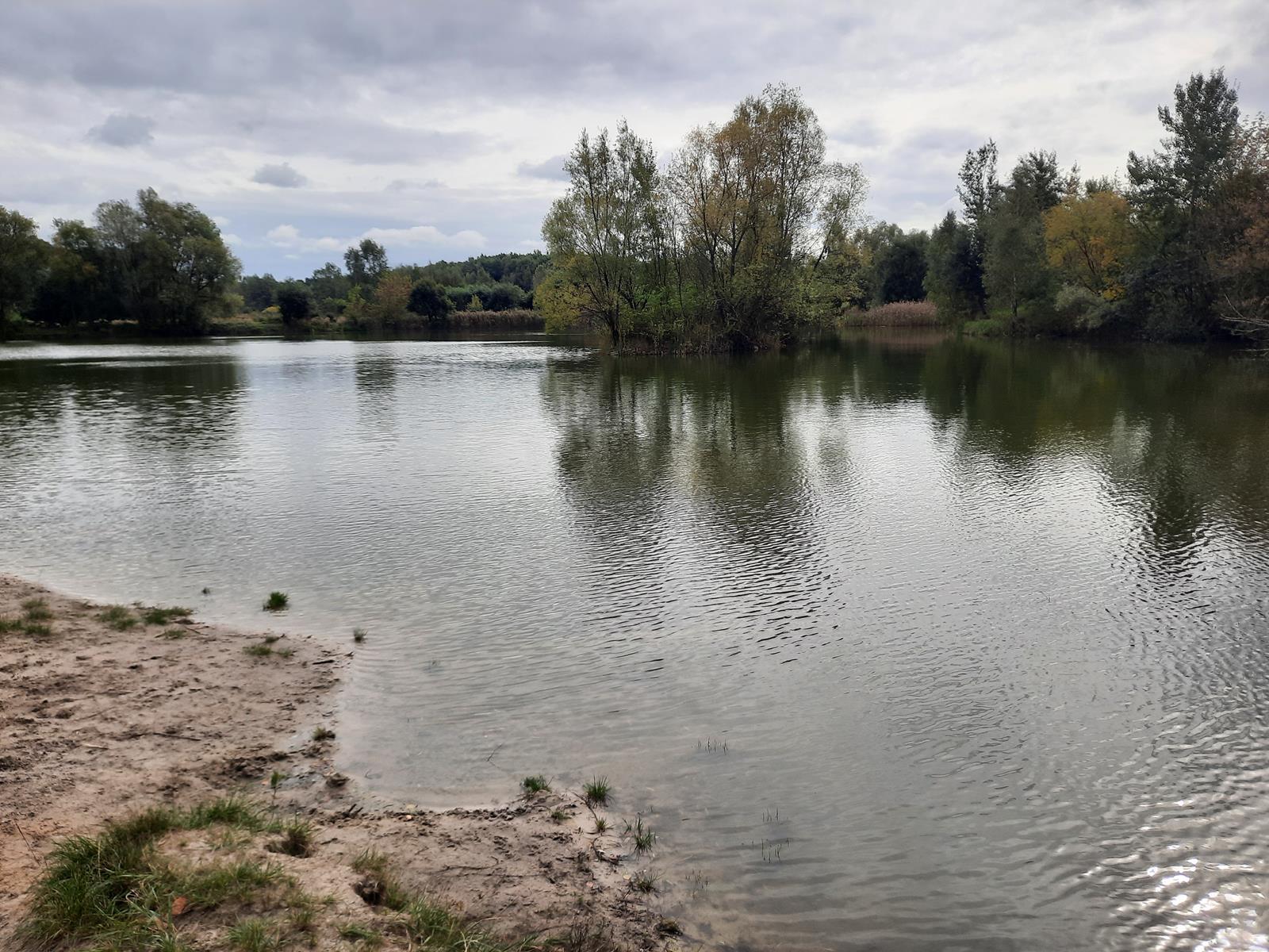 Staw Dupina Katowice Podlesie 11 Copy