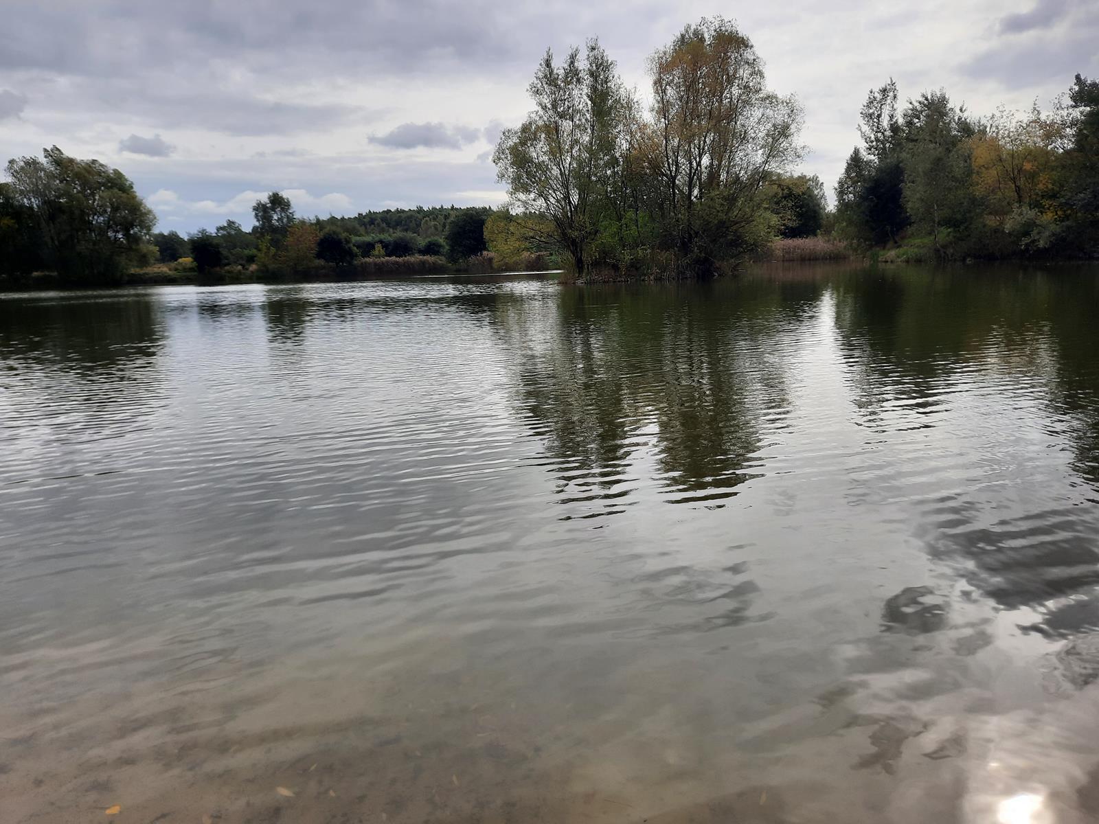 Staw Dupina Katowice Podlesie 13 Copy