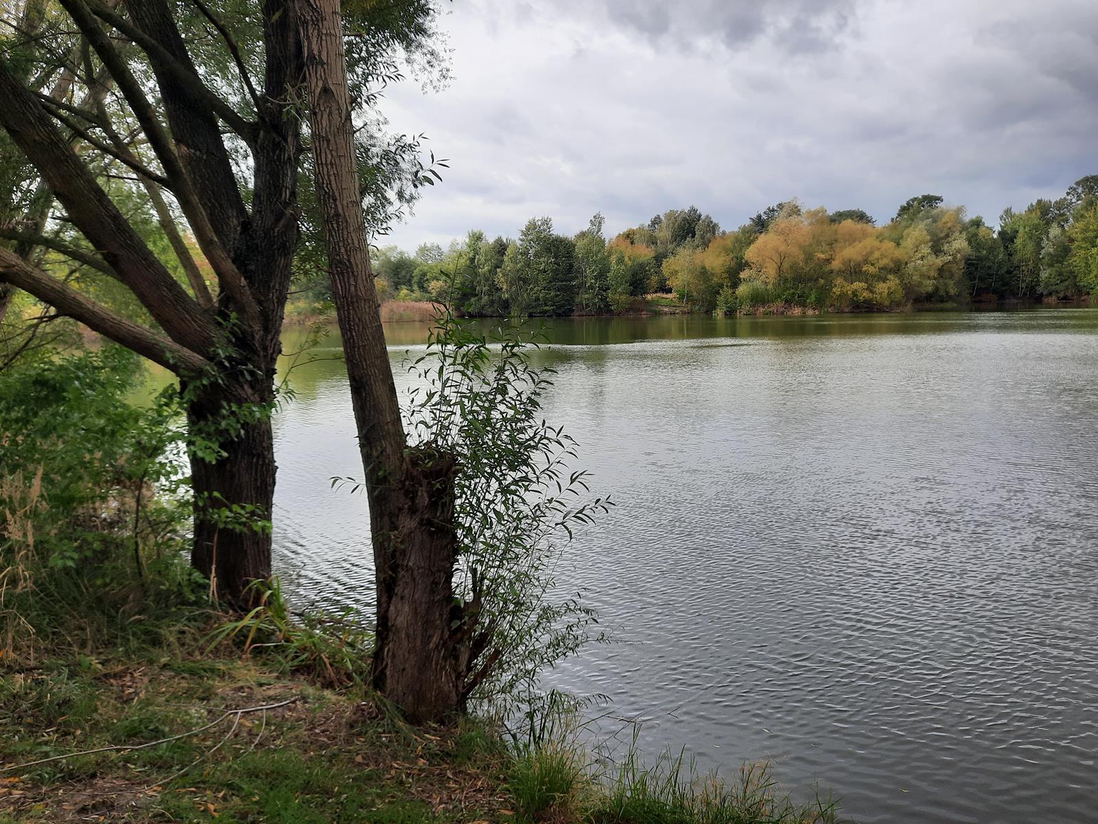 Staw Dupina Katowice Podlesie 2 Copy