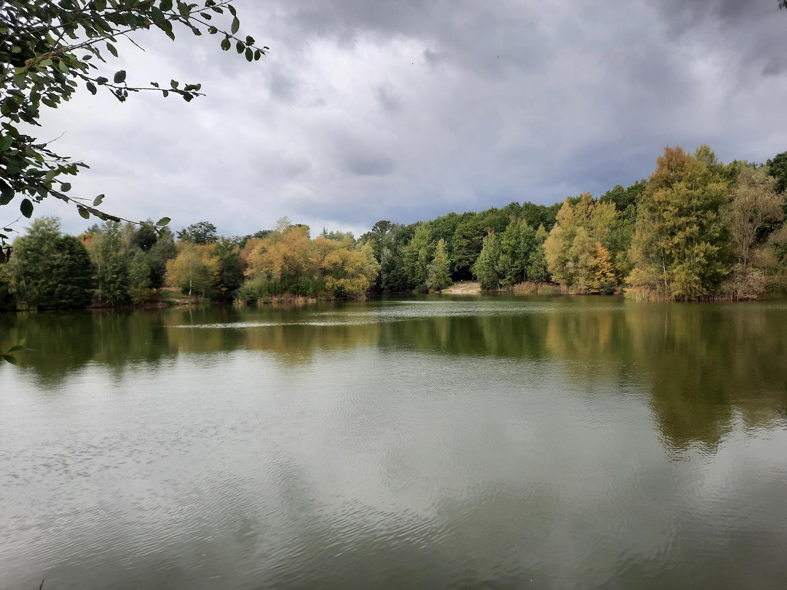 Staw Dupina Katowice Podlesie 4 Copy