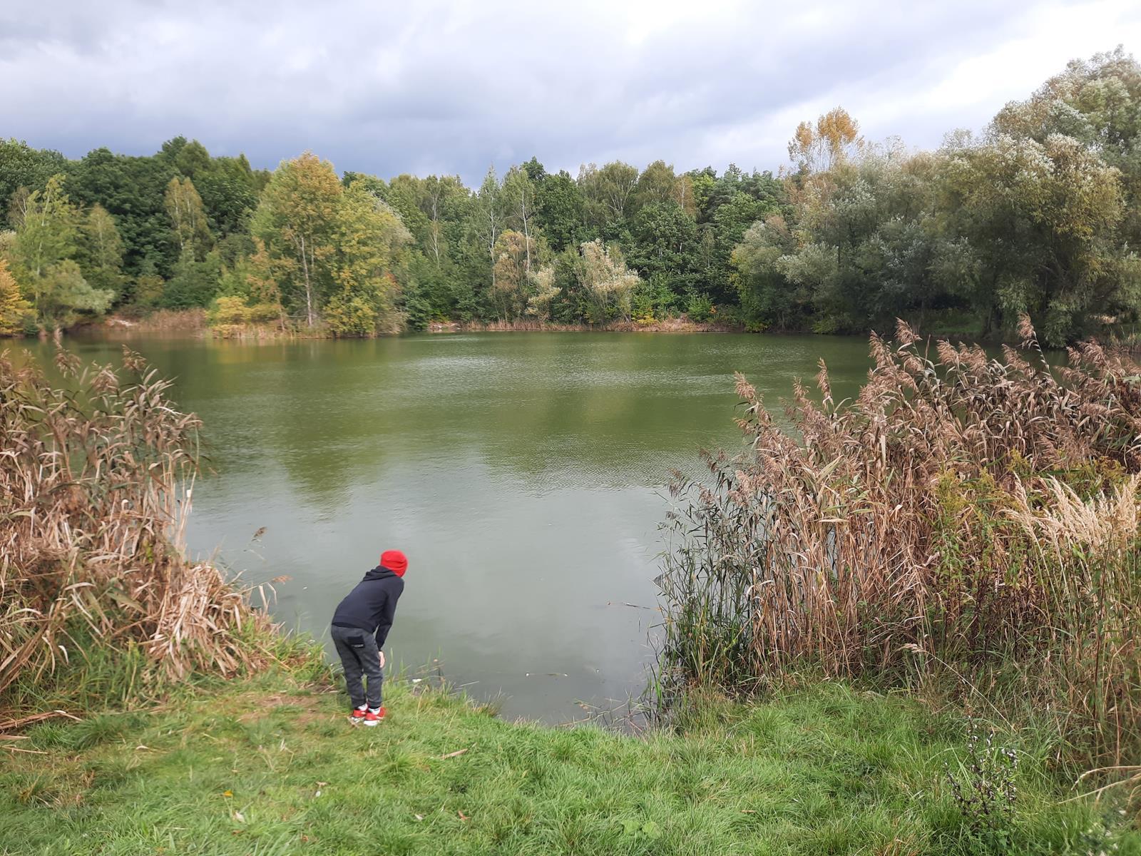 Staw Dupina Katowice Podlesie 5 Copy