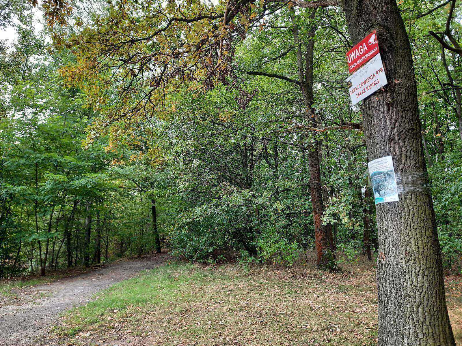 Staw Dupina Katowice Podlesie 9 Copy