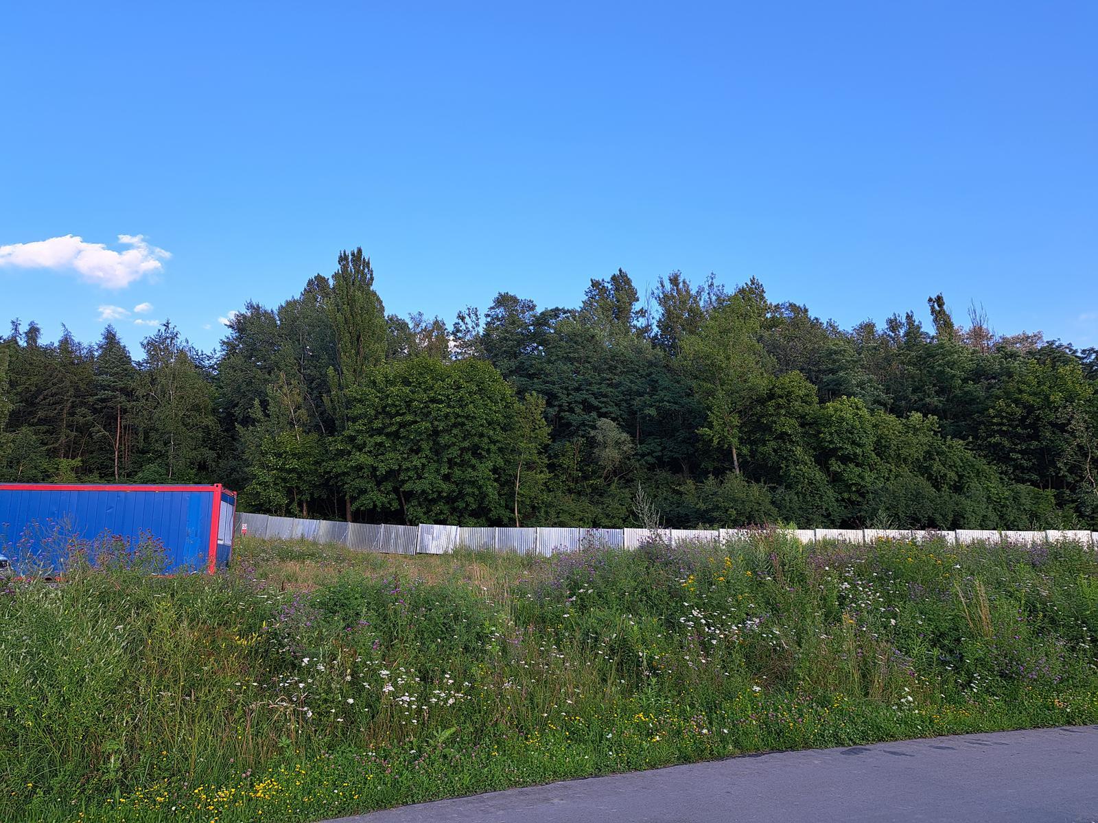 Staw Kalina lipiec 2026, Świętochłowice