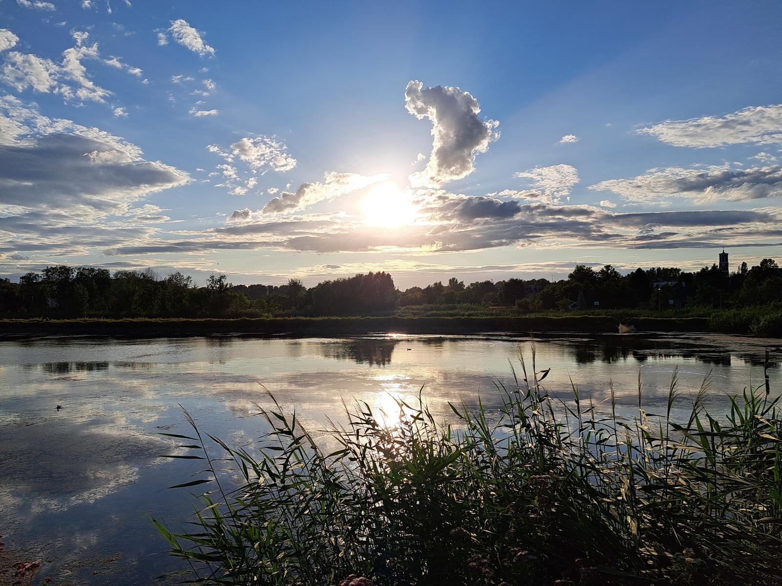 Staw Kalina lipiec 2026, Świętochłowice