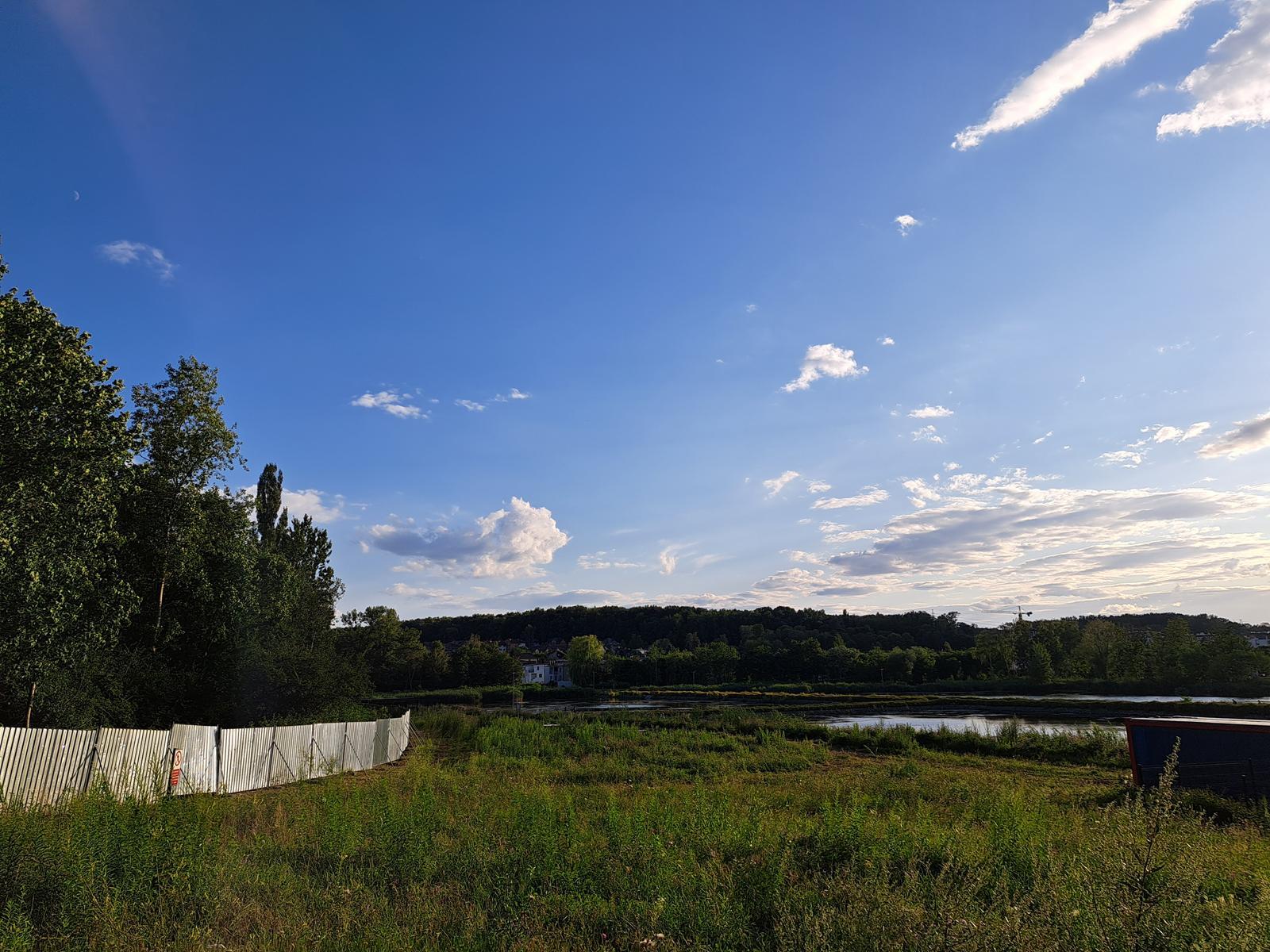 Staw Kalina lipiec 2026, Świętochłowice