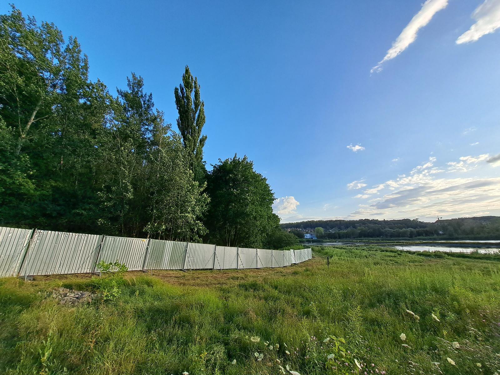 Staw Kalina lipiec 2026, Świętochłowice