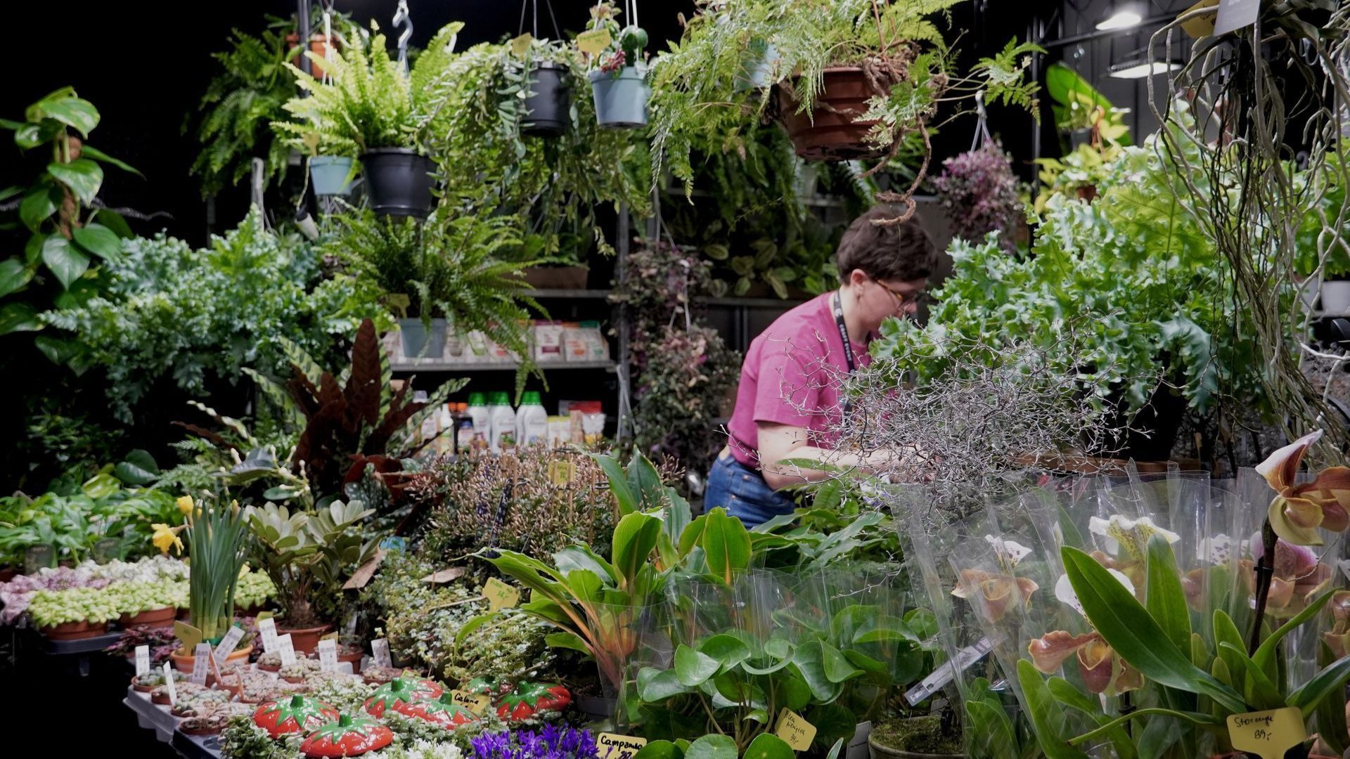 Targi Rzeczy Wyjatkowych Gliwice8