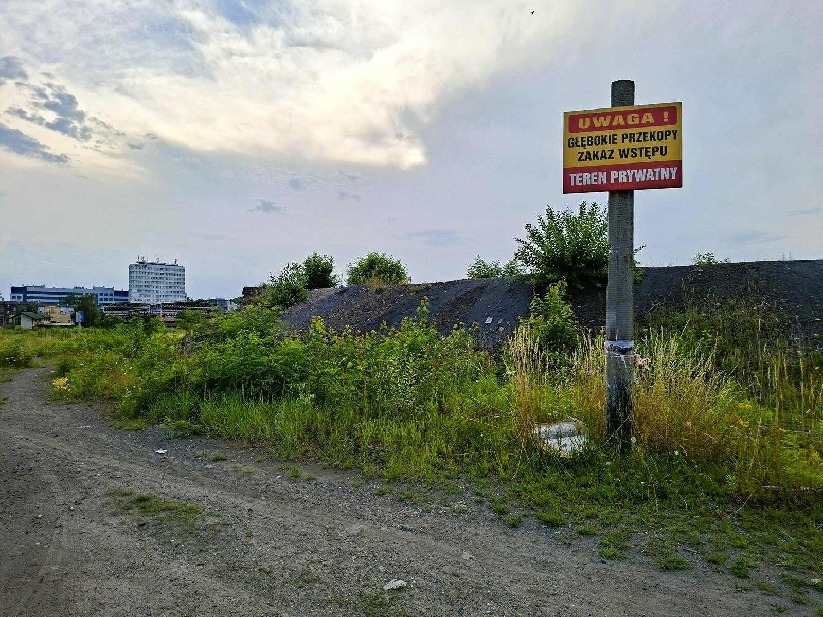 Teren gdzie ma powstać Nowy Wełnowiec, 17 lipca 2026. Fot. Katarzyna Pachelska
