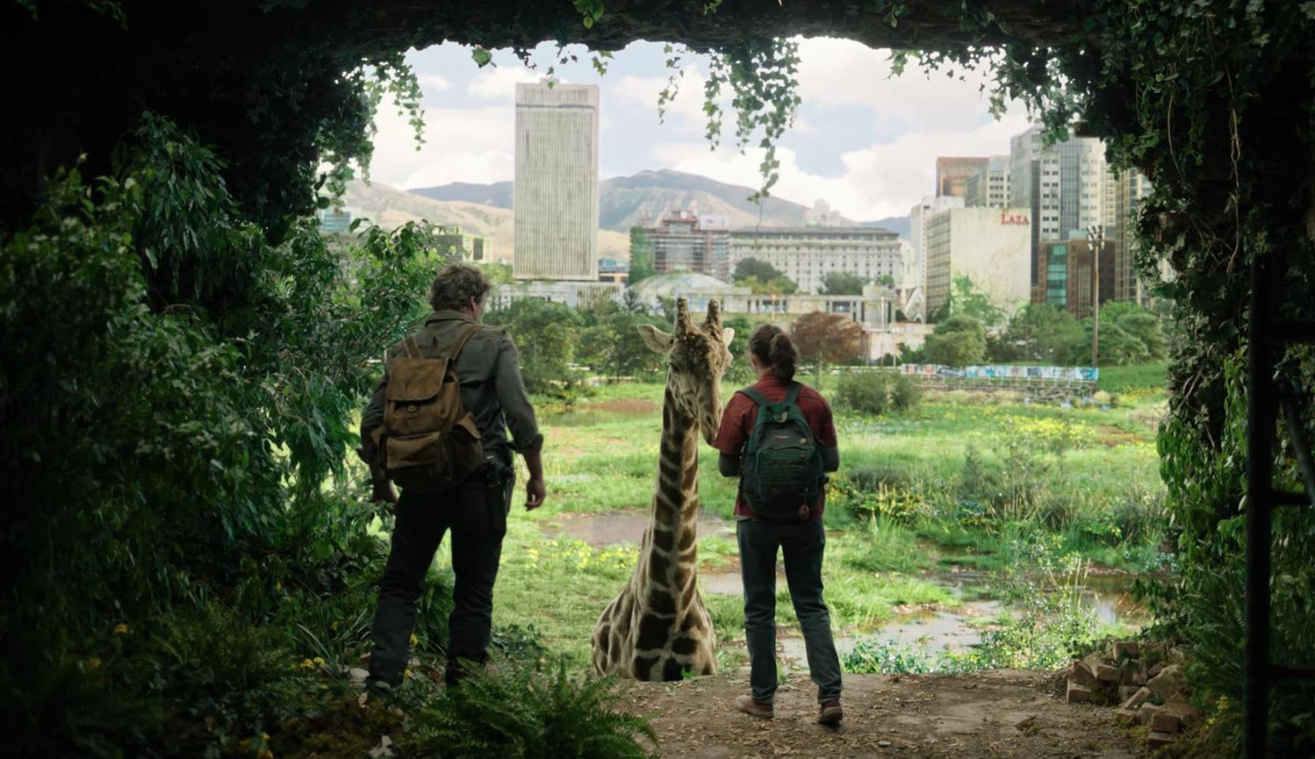 The Last of Us