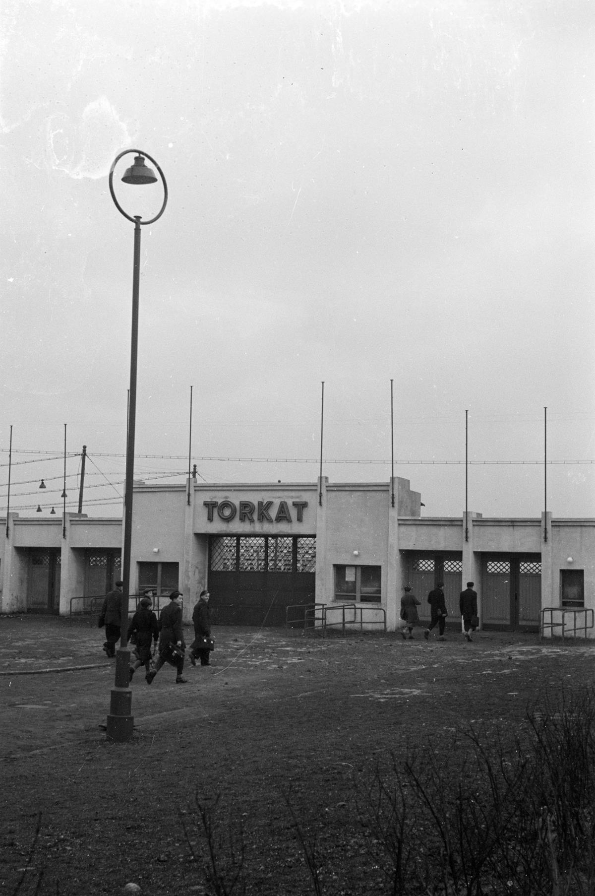 Torkat w latach 1949-1950