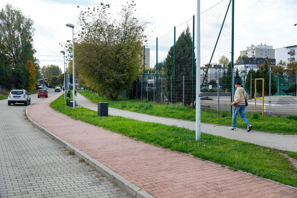 Ulica Wyspiańskiego zyska fioletowe krzewy