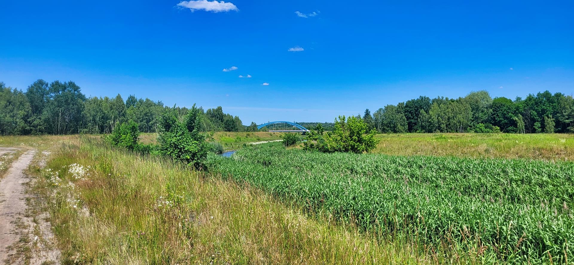 W tle autostrada, czerwiec 2025