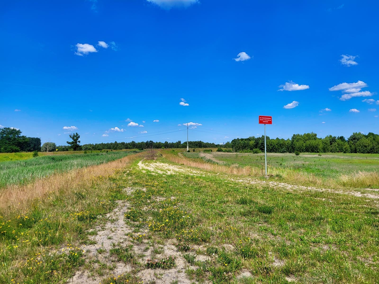 Wały przy Kłodnicy, czerwiec 2025