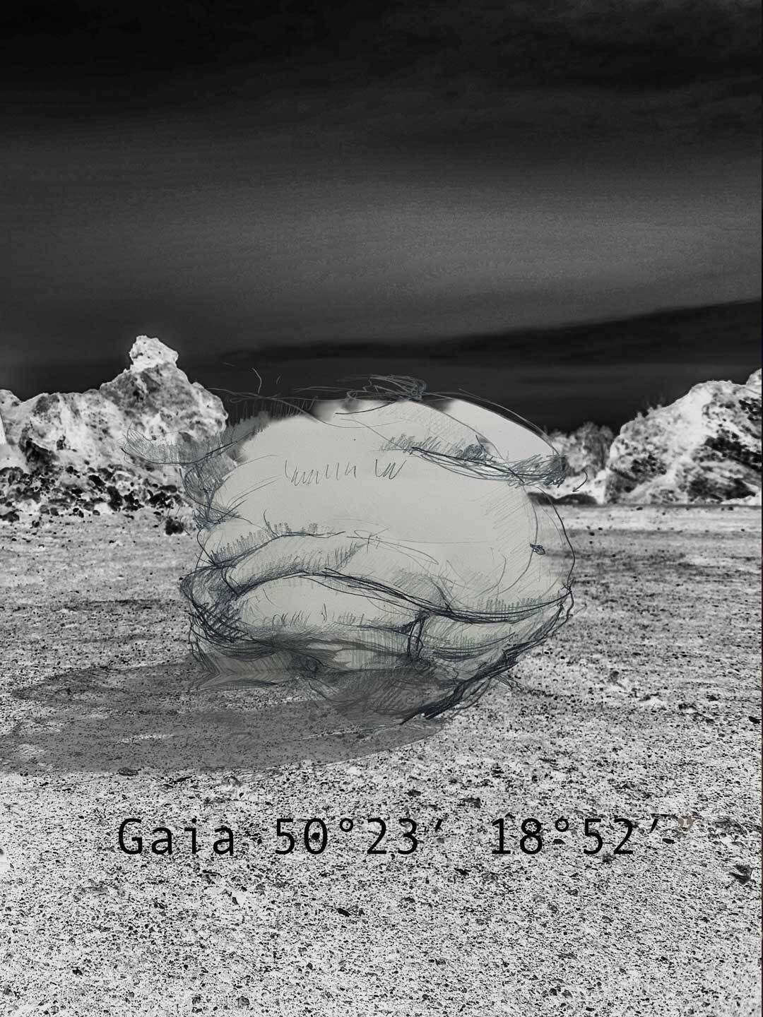 Warsztaty Gaia