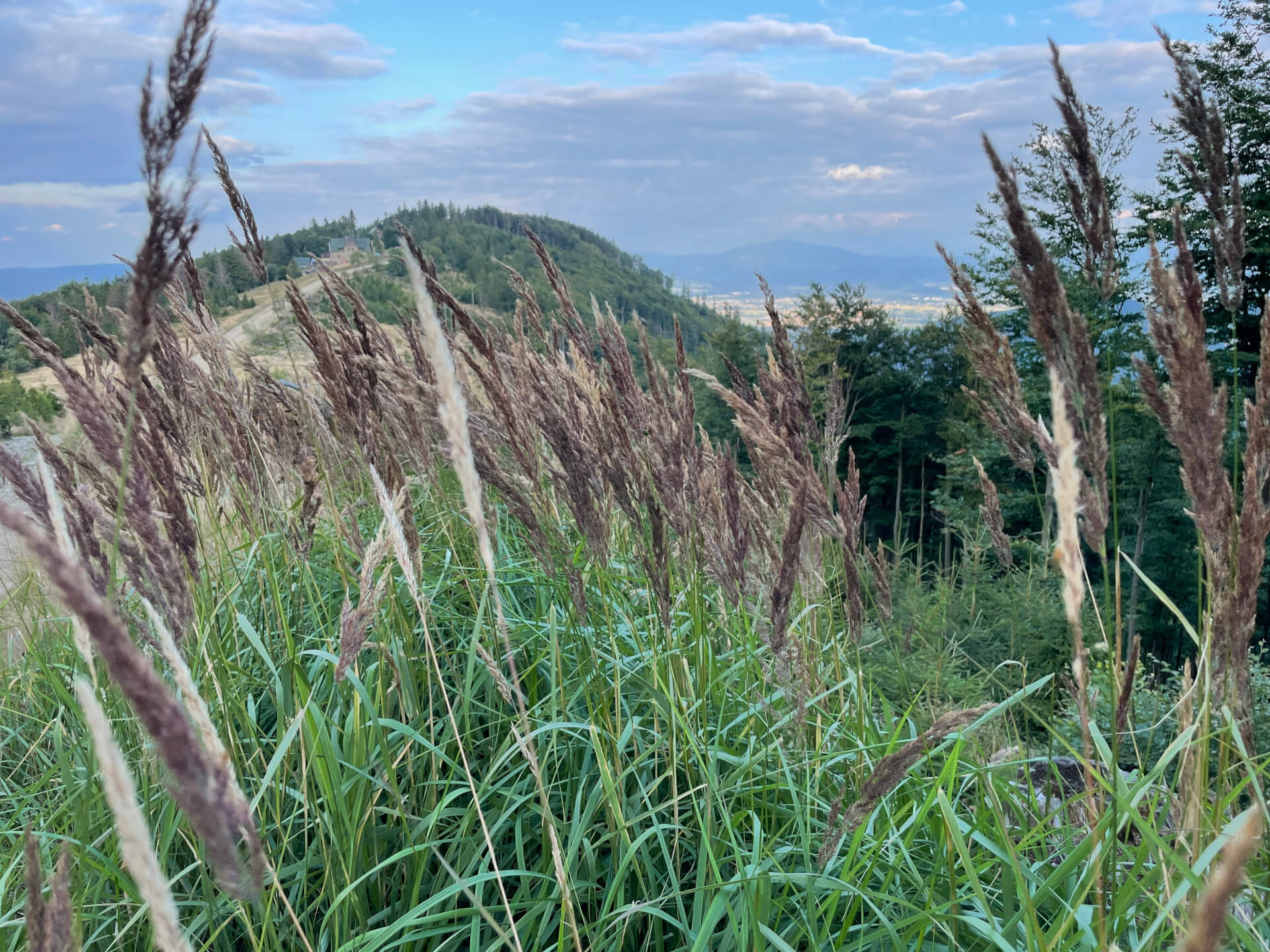 Widok na schronisko PTTK Klimczok. W tle Babia Góra