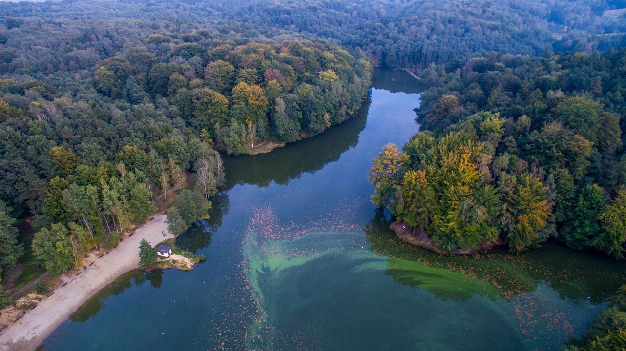 Wodzisław Śląski. Zalew «Balaton»