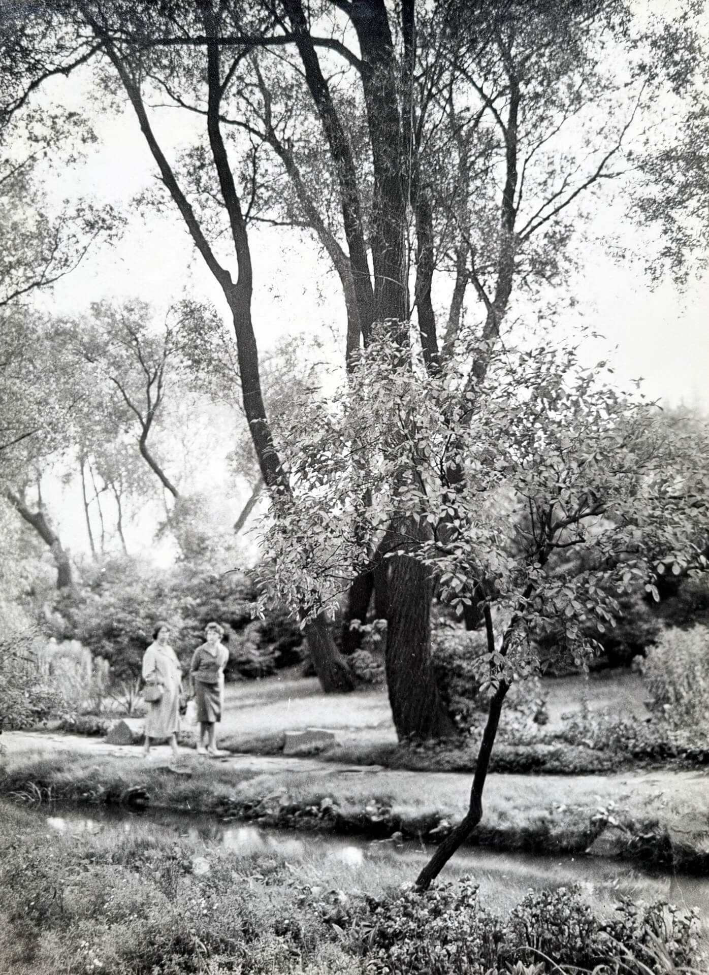 Nad strumieniem w WPKiW