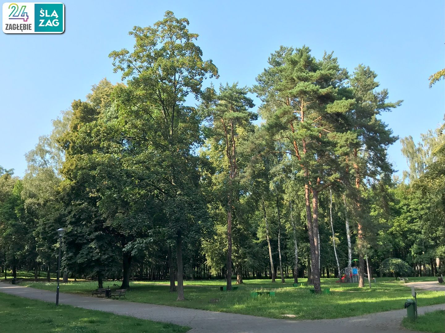 Wojkowice. Park Miejski. 10 sierpnia 2025.