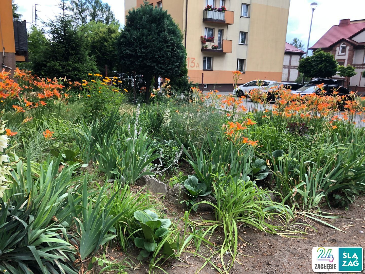 Wojkowice. Wycieczka w ramach cyklu «Kierunek GZM». 29 czerwca 2025.